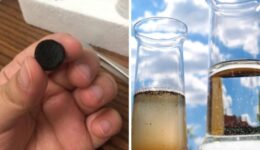 Cientistas criam “comprimido” que transforma água suja em potável