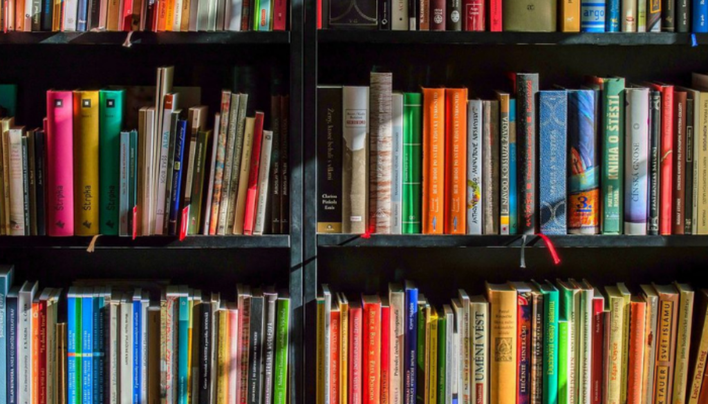 leitura e educacao no brasil