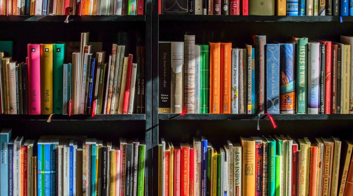leitura e educacao no brasil