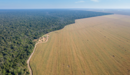 desmatamento da Amazônia