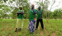 acampamento-refugiados-floresta-2