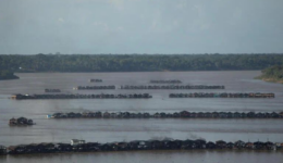 garimpo ilegal Amazônia
