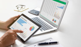 Analyst works with the data