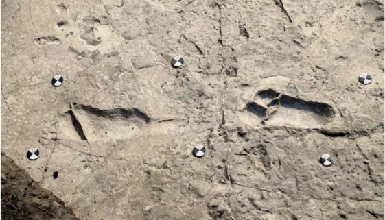 Pesquisadores revelam que pegadas de 3,7 milhões de anos são de humano