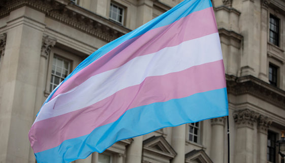 ONG faz cartilha para impulsionar empregabilidade de Trans e travestis