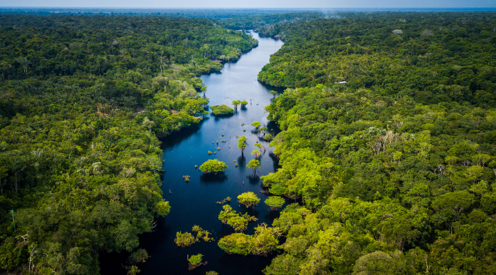 negócios sustentáveis na Amazônia