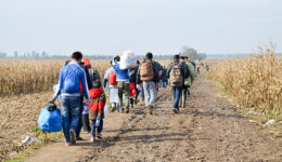Refugees and migrants walking on fields. Group of refugees from