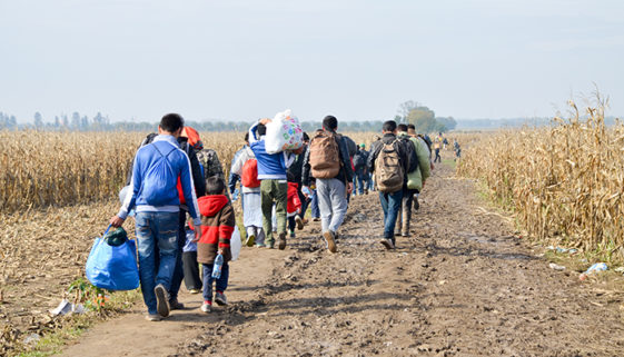 Refugees and migrants walking on fields. Group of refugees from