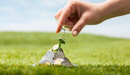 Coins on grass
