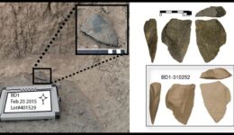 Arqueólogos encontram “ferramentas complexas” de 2,6 milhões de anos