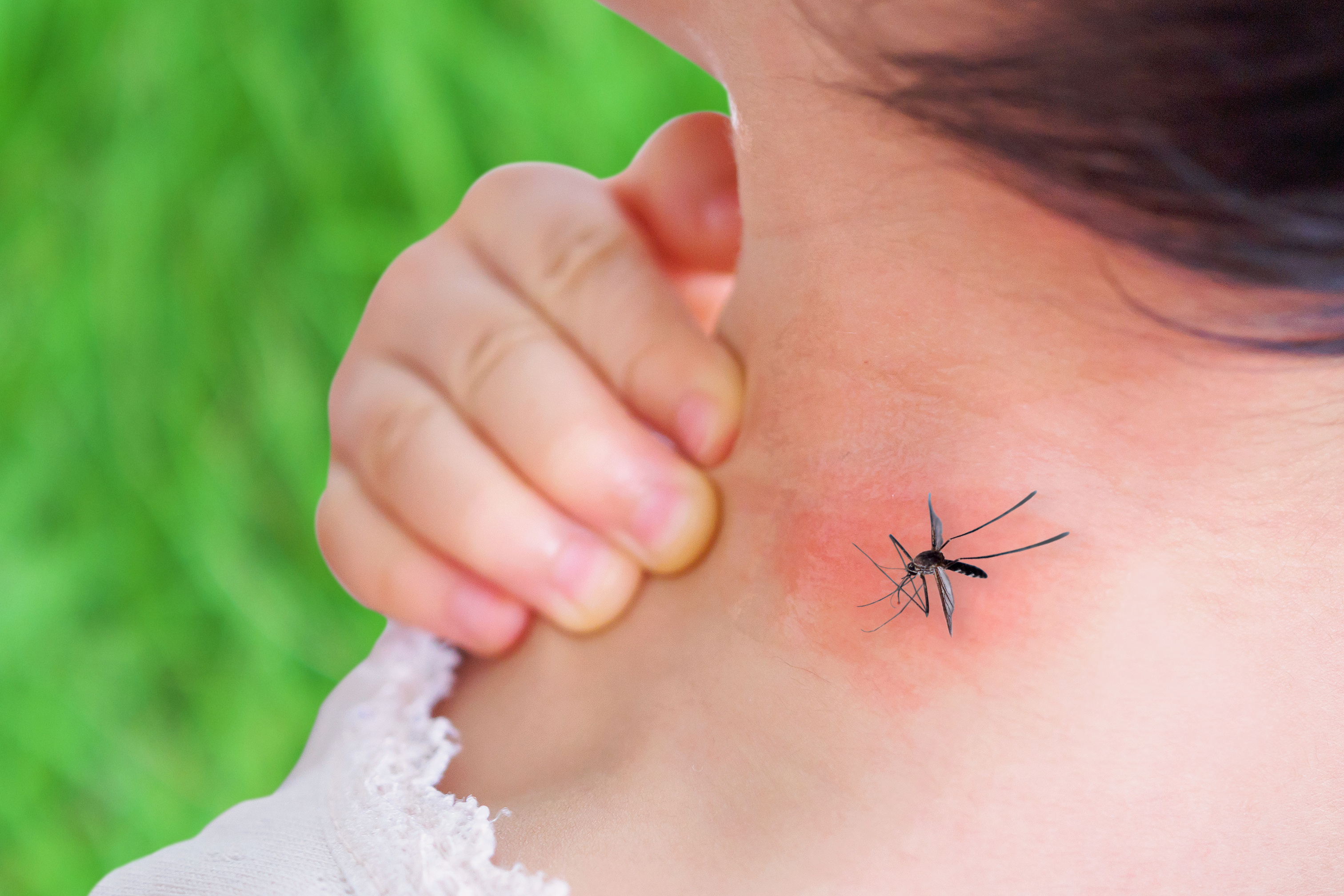Perigo ignorado: casos de dengue no Brasil crescem 43,9% em 2022