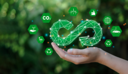 economia circular