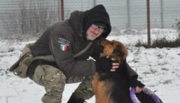Ucrânia: homem que cuida de 400 animais se recusa a abandoná-los