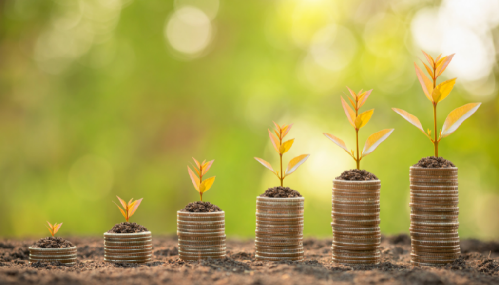 Empreendedorismo e Economia Circular