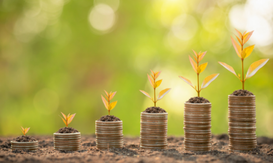 Empreendedorismo e Economia Circular