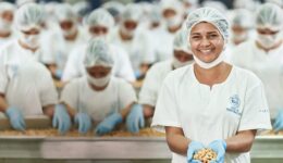 ONG Amigos do Bem gera 1.400 empregos com produção de castanhas