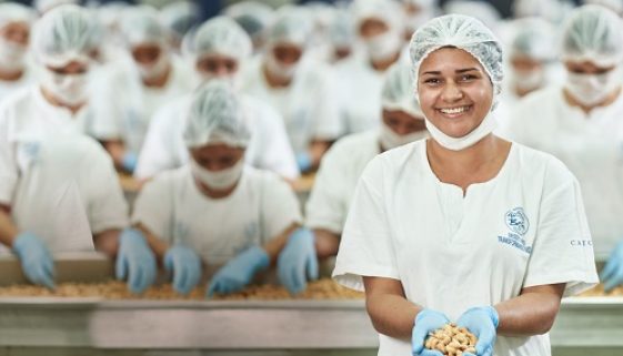 ONG Amigos do Bem gera 1.400 empregos com produção de castanhas