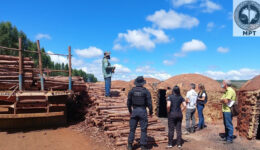 24 vítimas de trabalho escravo são encontradas em fazenda de MG