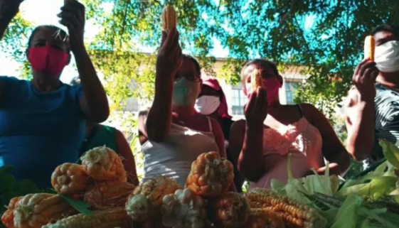 Horta urbana feita por mulheres alimenta 30 famílias em Pernambuco
