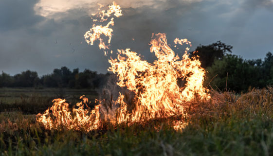 Mulheres indígenas combatem incêndios para proteger suas aldeias