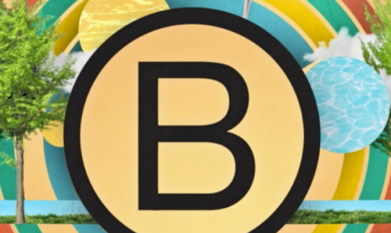 empresas B