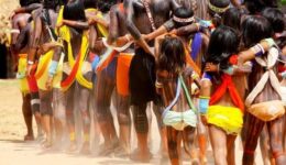 Maior devastação em 30 anos: garimpo ilegal destrói e leva dor à terra Yanomami