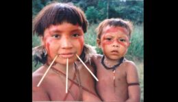 Omissão do governo contra barbárie faz Ianomâmis recorrerem ao STF