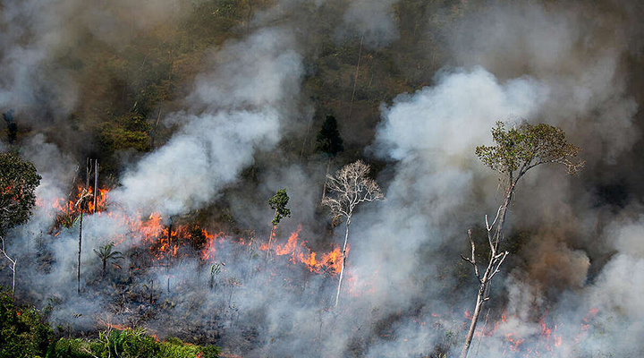 O que acontece na Amazônia, não fica - Greenpeace Brasil