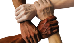 Foto com fundo branco, tirada de cima. Quatro antebraços aparecem, cada um de uma lateral da foto para formar um quadrado no centro, com as quatro mãos segurando, cada uma, no pulso do braço à direita.