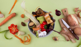 Perdas e Desperdício de Alimentos