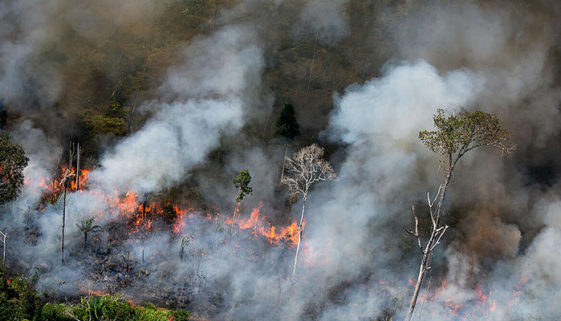 Foto aérea de queimada em floresta e muita fumaça.