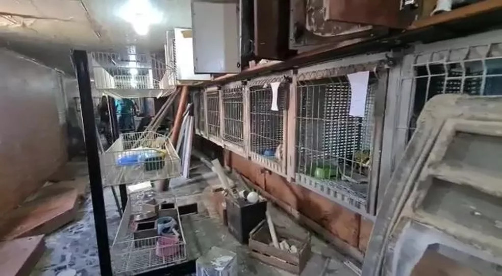 Clínica veterinária tinha 17 animais mortos e cachorro em máquina de lavar