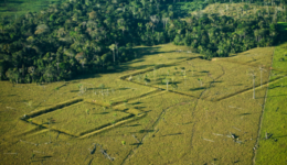 O mistério dos geoglifos do Acre com mais de mil anos