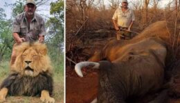 Dono de empresa de caça que se orgulhava em matar animais é morto a tiros
