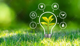 sustentabilidade