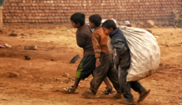 Crianças andam em chão de terra carregando saco branco