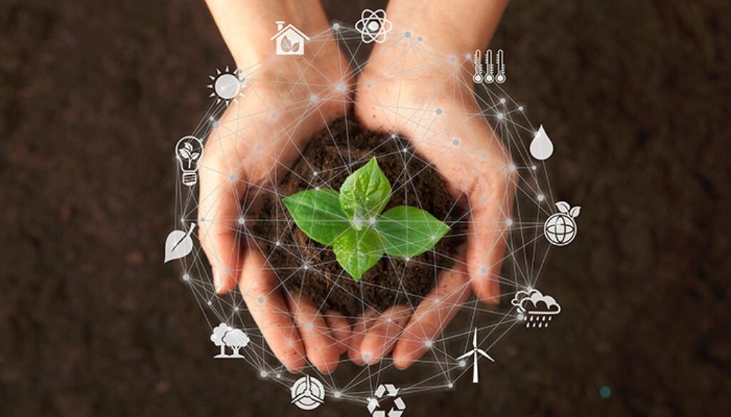 sustentabilidade