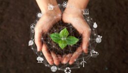 sustentabilidade