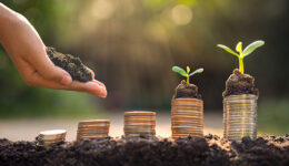 Plataforma oferece oportunidade de investimento para causas sociais