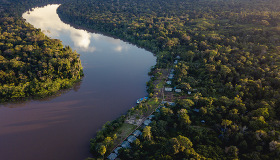 Foto tirada de cima de rio amazônico e margens arborizadas.