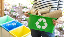 reciclagem, educação ambiental