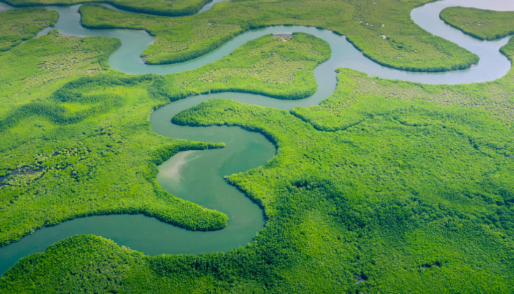 Amazônia, meio ambiente e mudanças climáticas