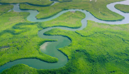 Amazônia, meio ambiente e mudanças climáticas