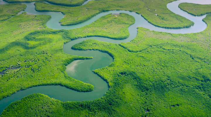 Amazônia, meio ambiente e mudanças climáticas