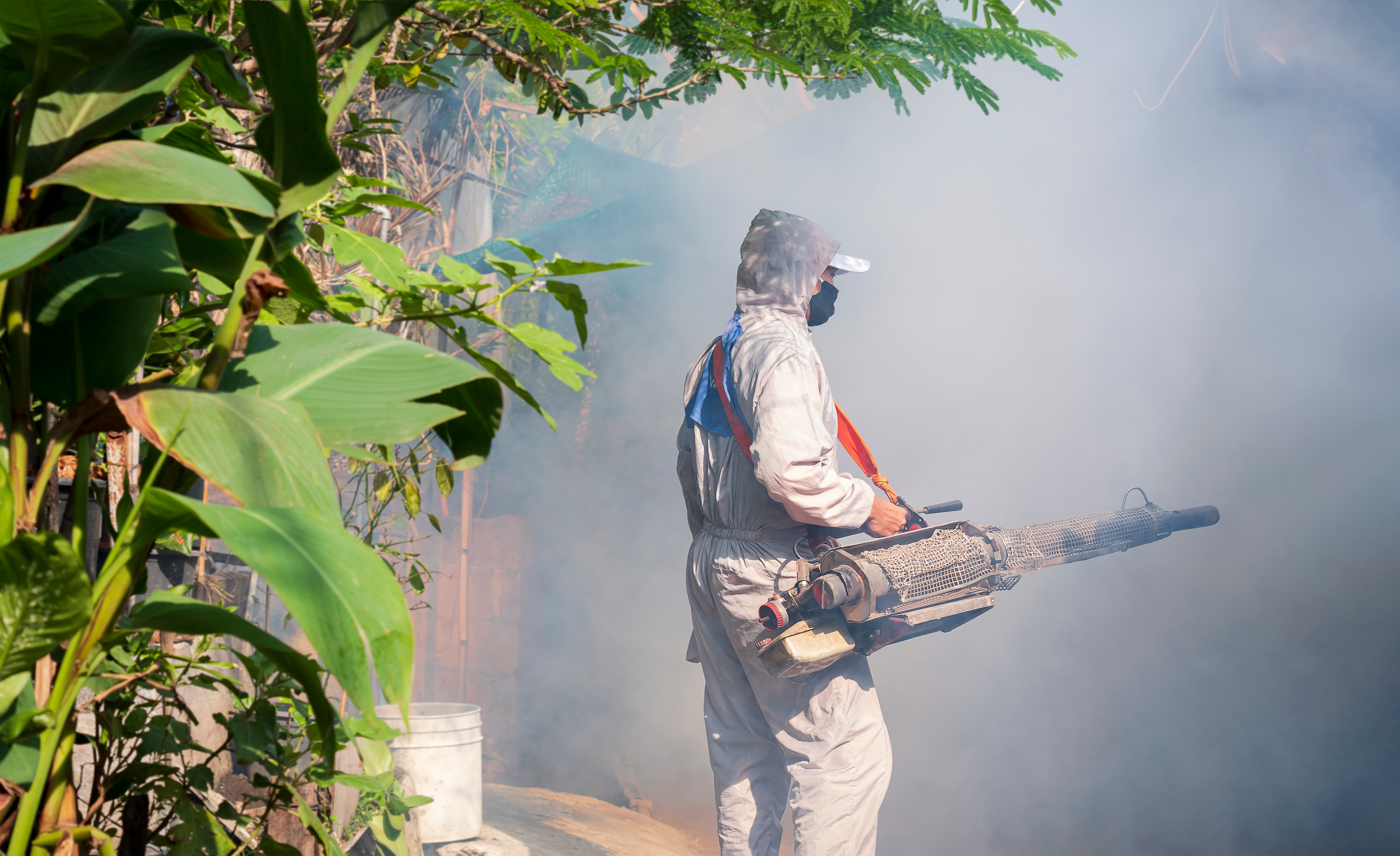 Perigo: Brasil registra 951 mortes por dengue em 2022