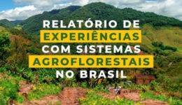 Foto de plantação à frente e montanhas verdes ao fundo. A imagem leva o texto 