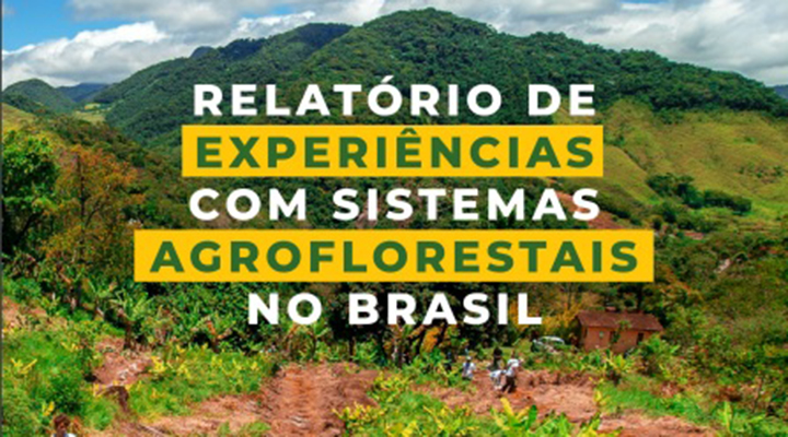Foto de plantação à frente e montanhas verdes ao fundo. A imagem leva o texto 'RELATÓRIO DE (em branco) EXPERIÊNCIA (em verde e realçado em amarelo) COM SISTEMAS (em branco) AGROFLORESTAIS (em verde e realçado em amarelo) NO BRASIL (em branco)'.