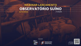 Organização de proteção animal conscientiza e lança relatório