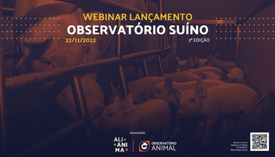 Organização de proteção animal conscientiza e lança relatório