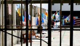 educação básica